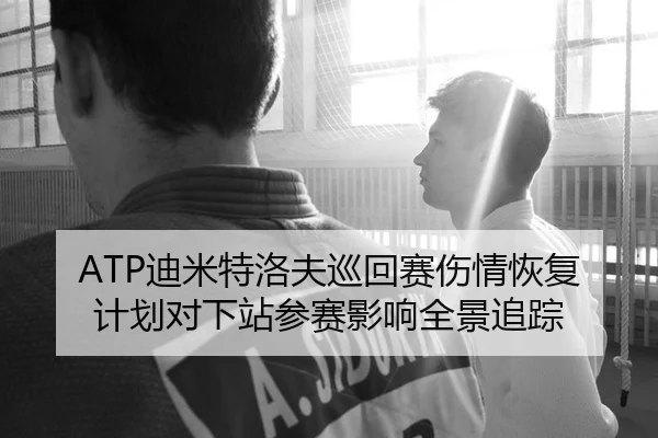 ATP迪米特洛夫巡回赛伤情恢复计划对下站参赛影响全景追踪